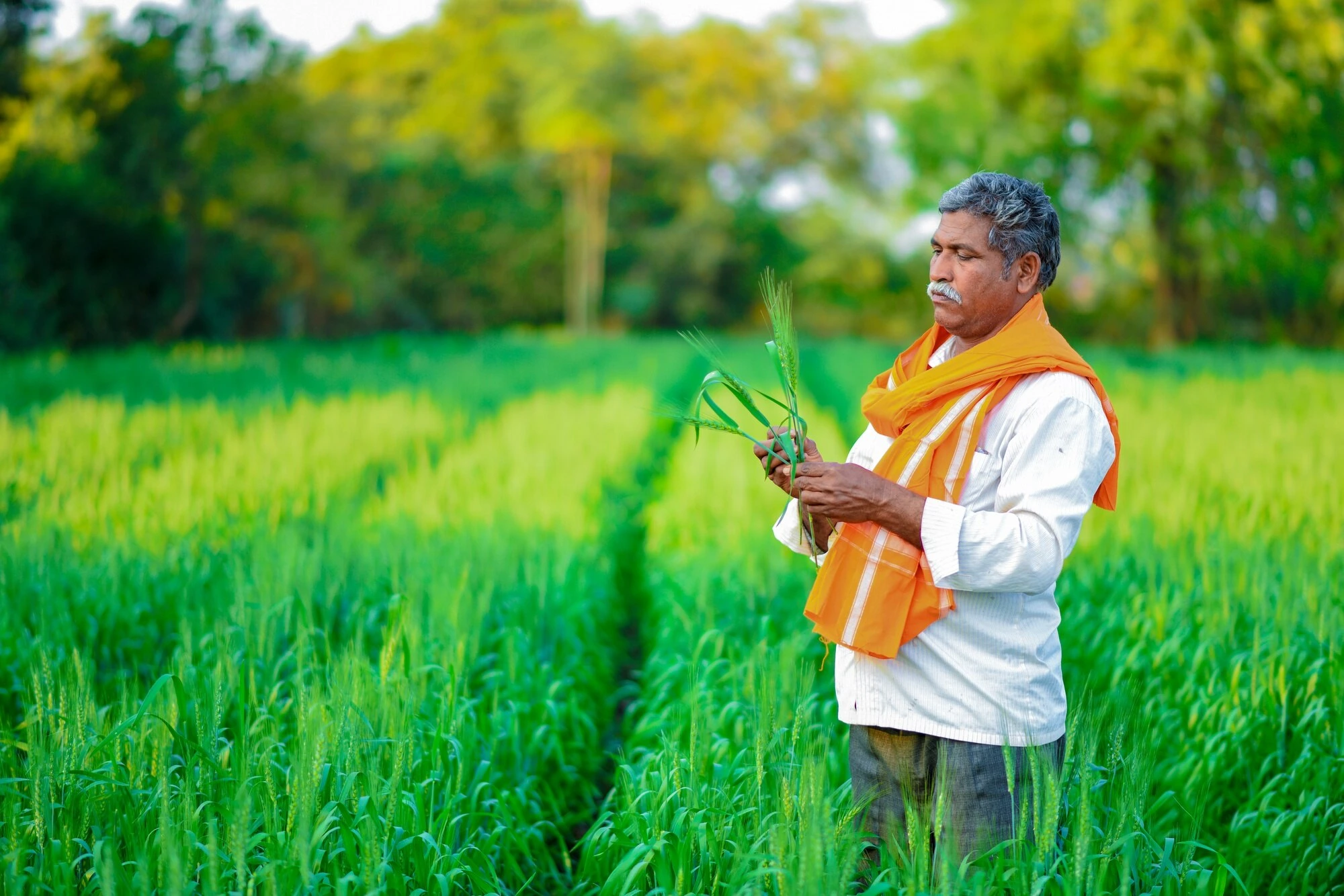Farm Mission & Story