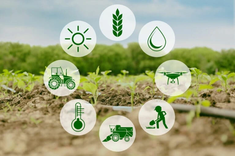 Plant and Harvest 