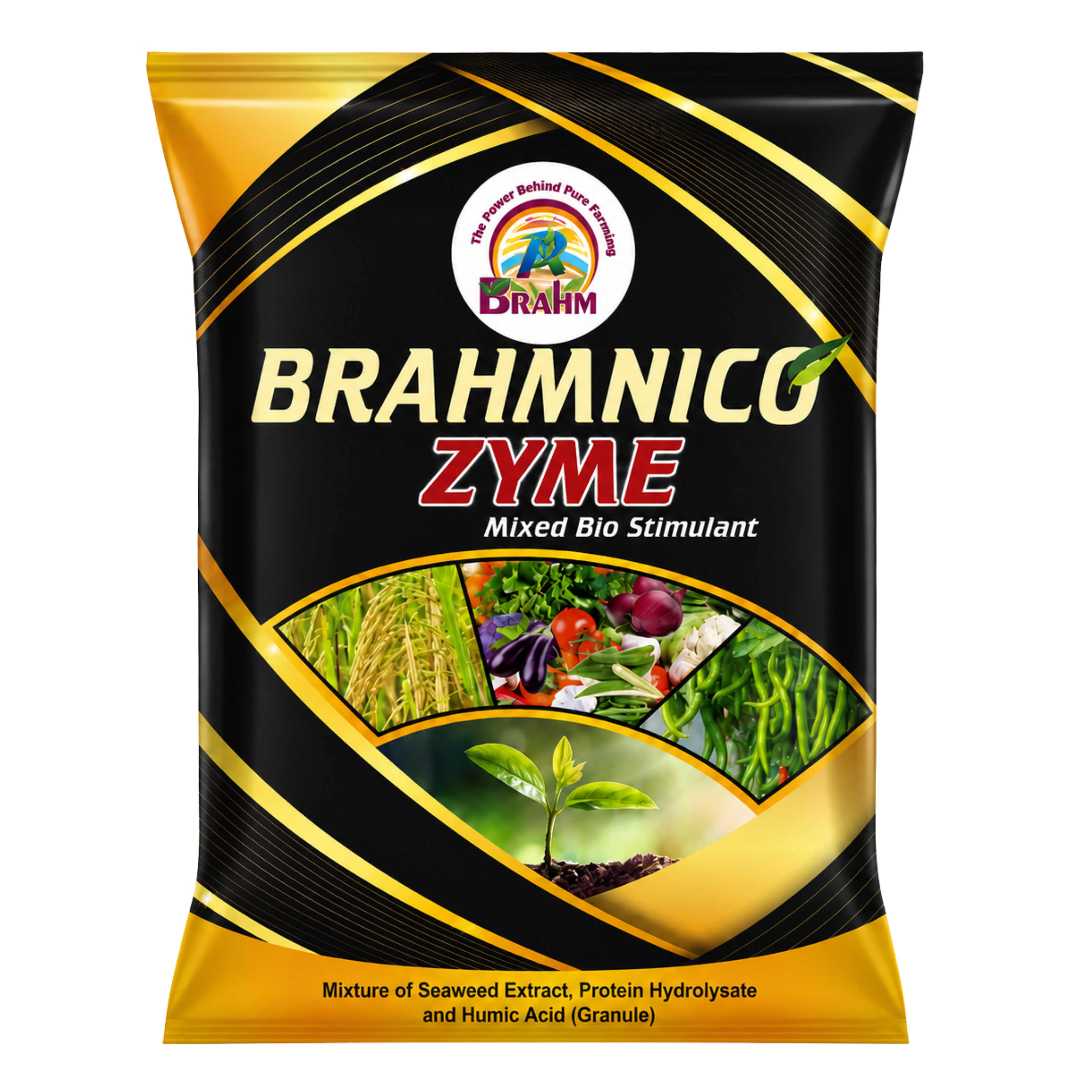 BRAHMNICO ZYME